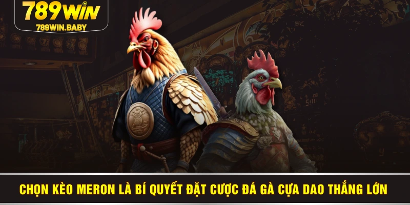 Chọn kèo Meron là bí quyết đặt cược đá gà cựa dao thắng lớn 