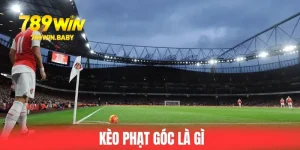 Kèo Phạt Góc Là Gì, Tổng Hợp Các Loại Cược Góc Thú Vị